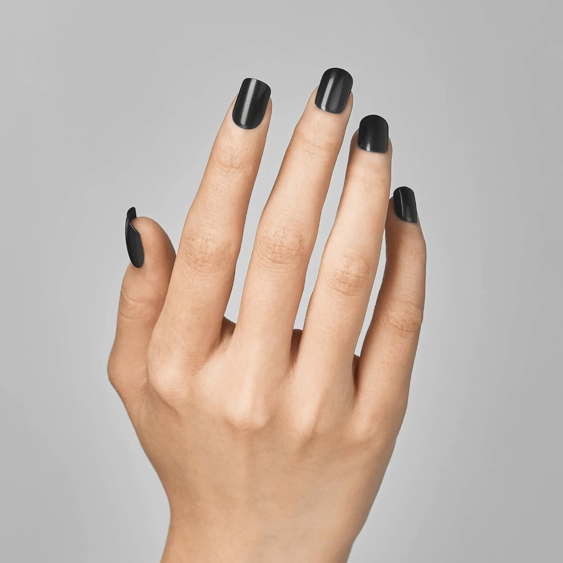 All Black