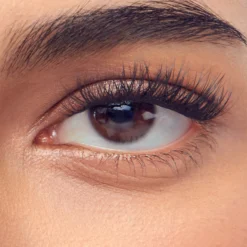 Classic Natural | 60 Individual Lashes