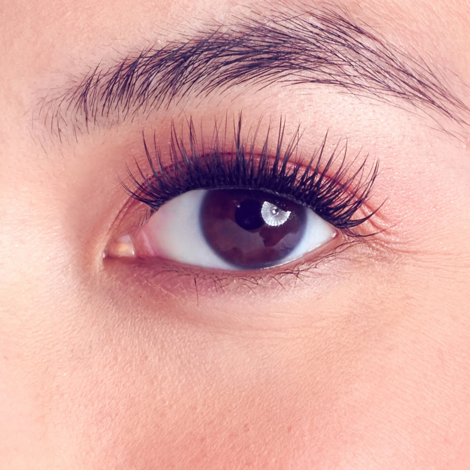Classic Natural Wisps | 36 Wisps