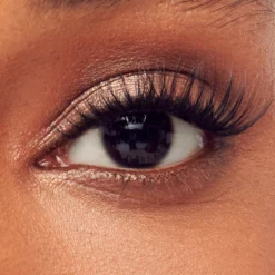 Classic Wispy | 60 Individual Lashes