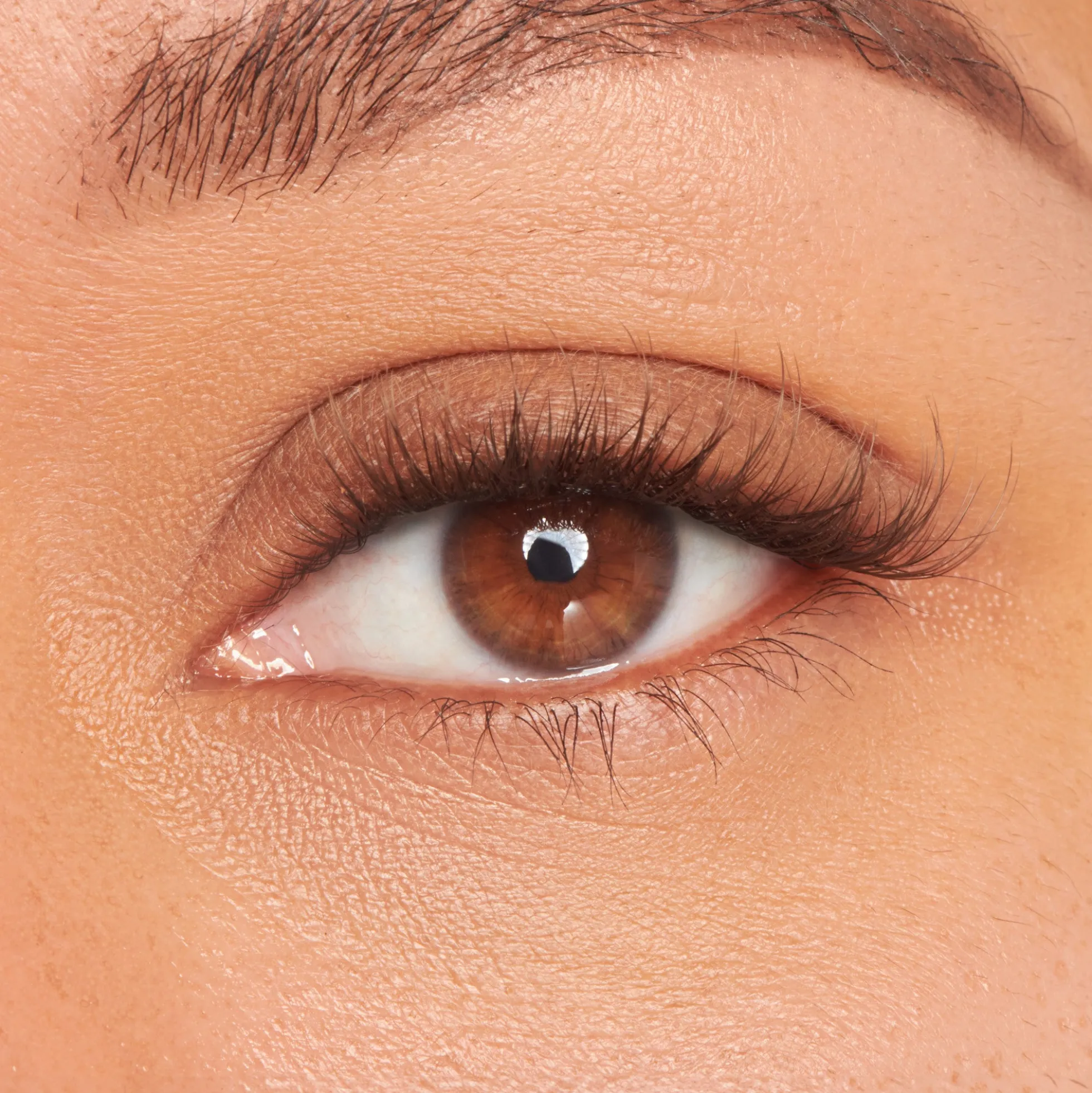 Dark Chocolate Light | 18 Wisps