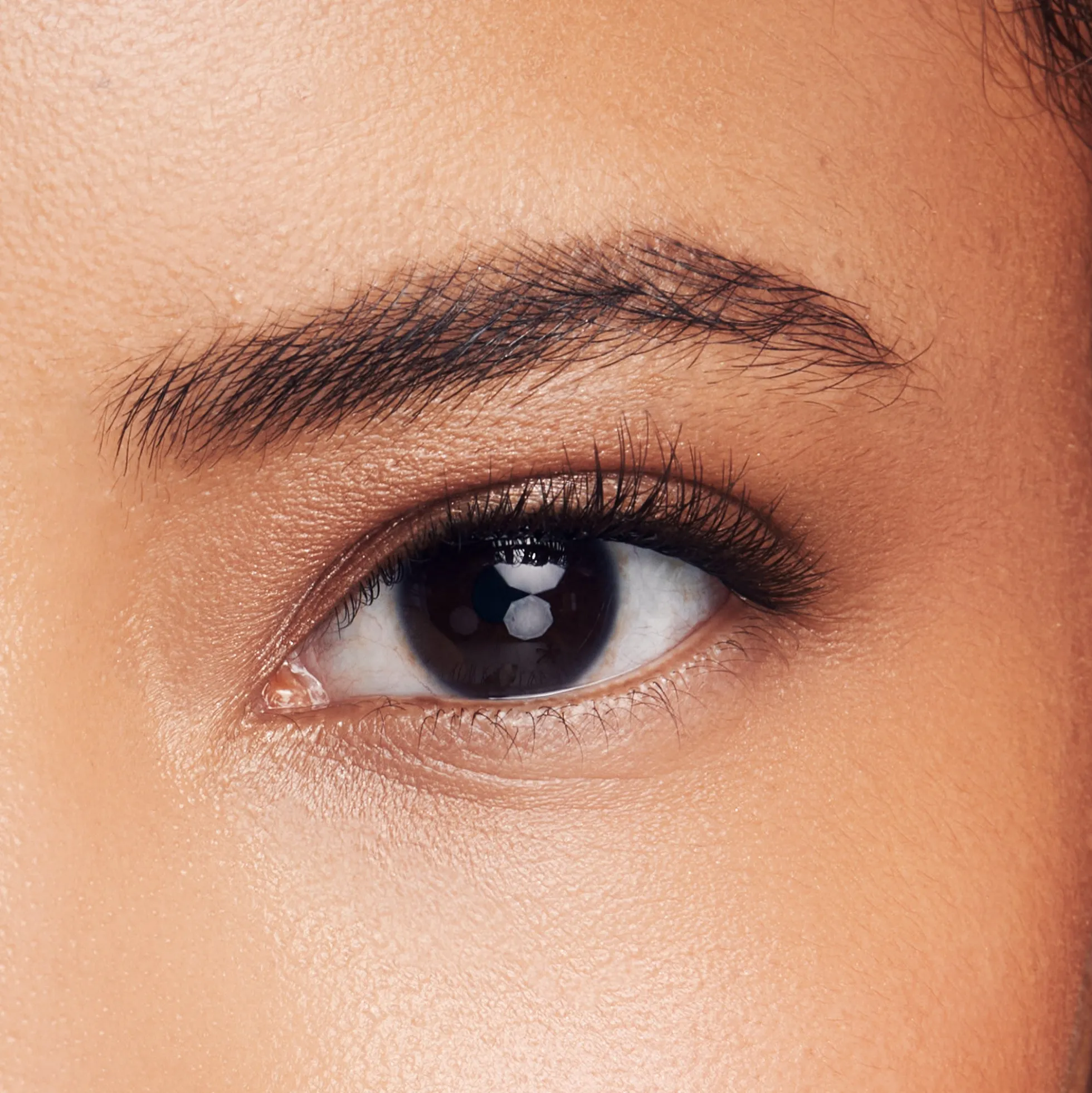 Demi Wispy | 1 Pair of Half Lash & 2 Clusters