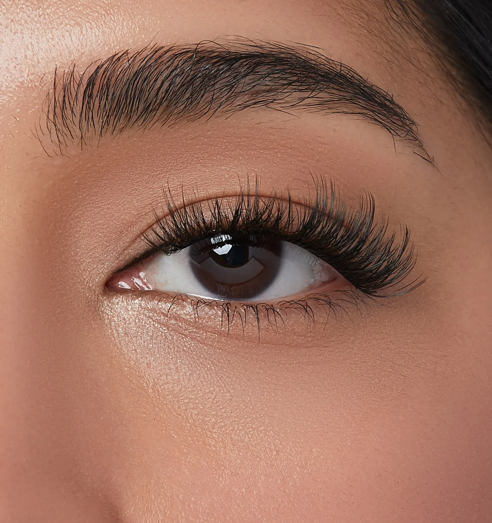 Lavish Volume | 12 Clusters