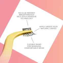 Lavish Volume | 12 Clusters