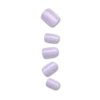 Pastel Dreams Bundle