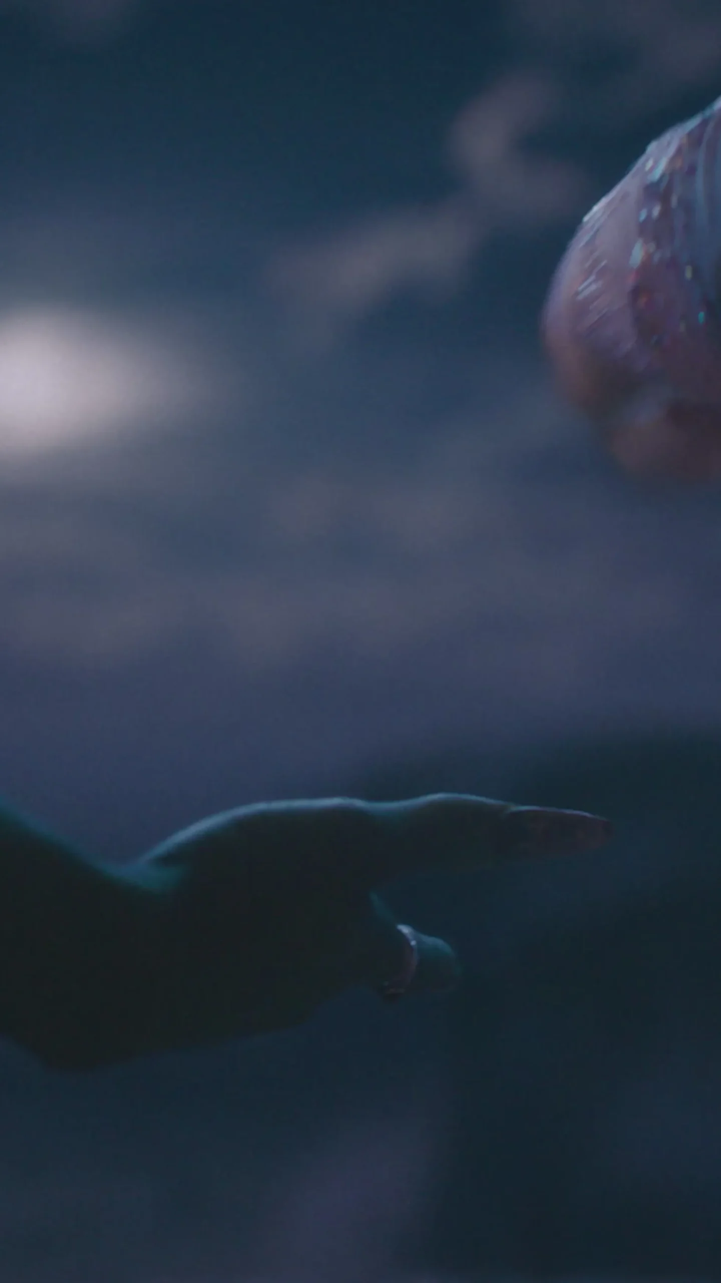 Wickedly Wonderful | 10 Wisps